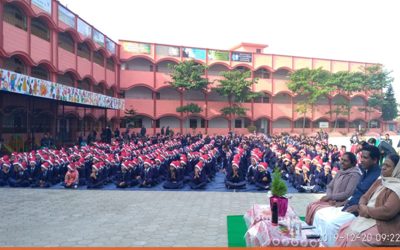 6bbdd5ad queen mary school b
