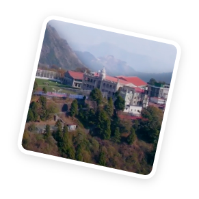 scholl